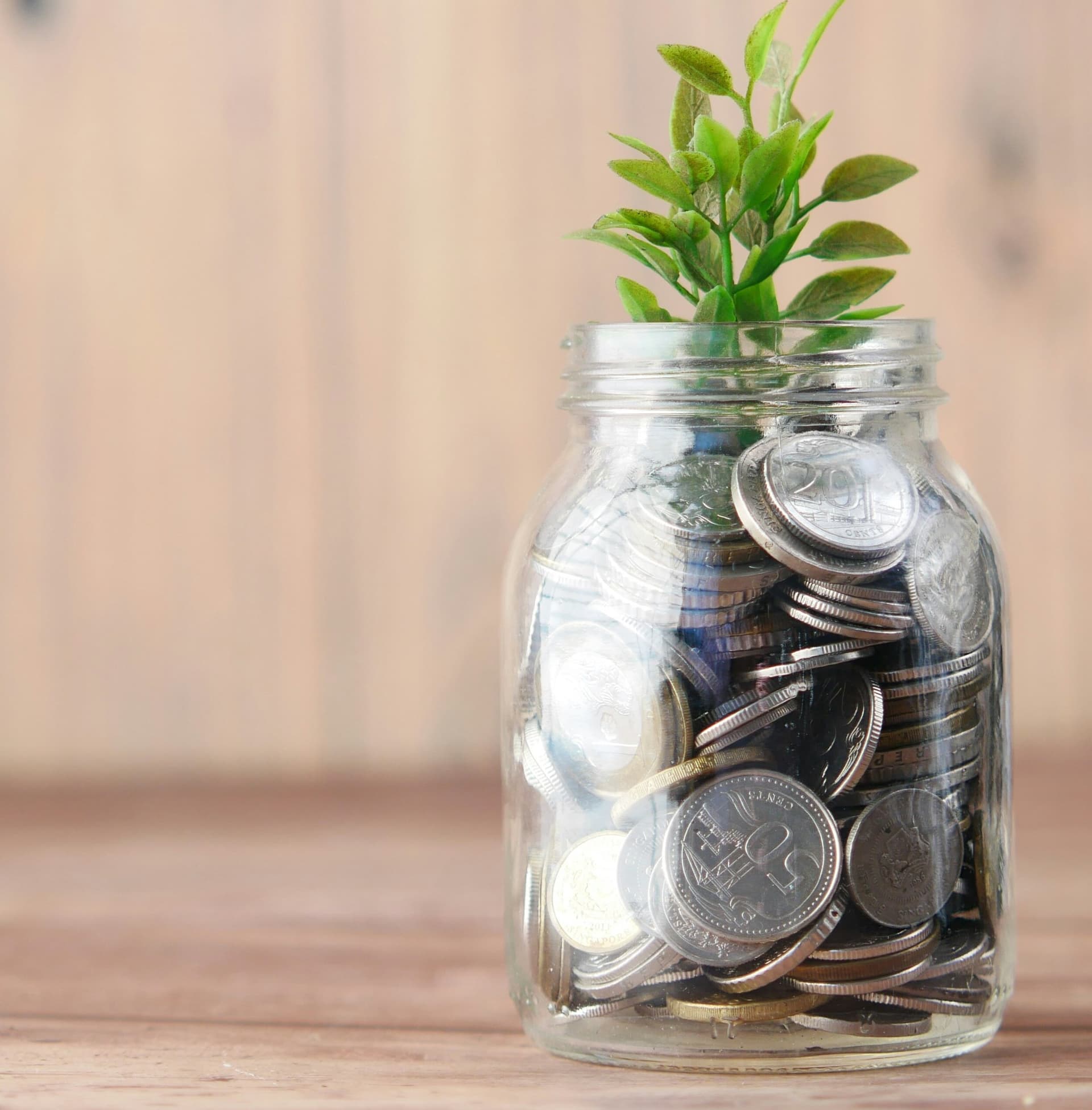 What is a non-profit company and how to establish a non-profit company in Saudi Arabia