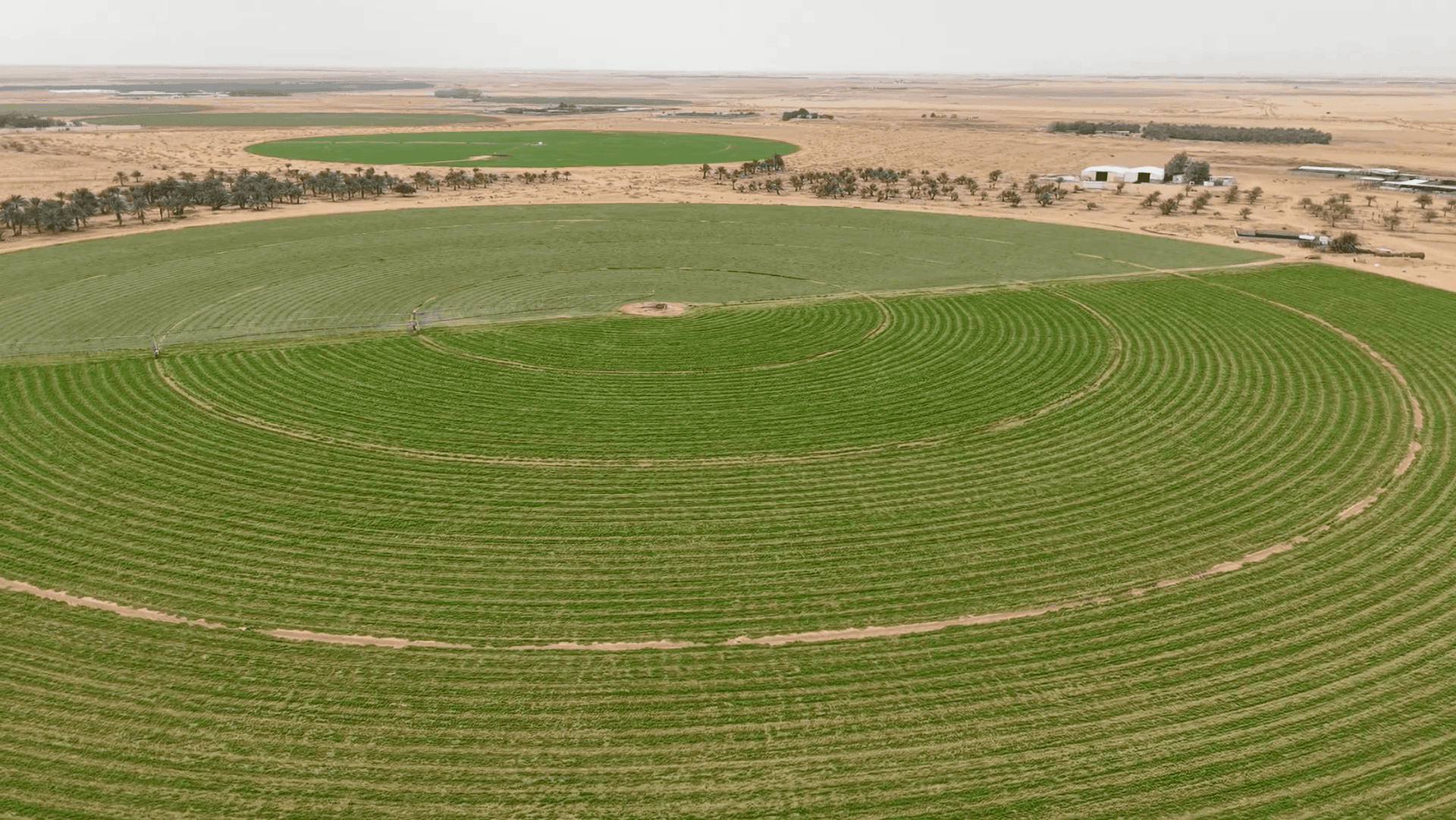Farm for Sale