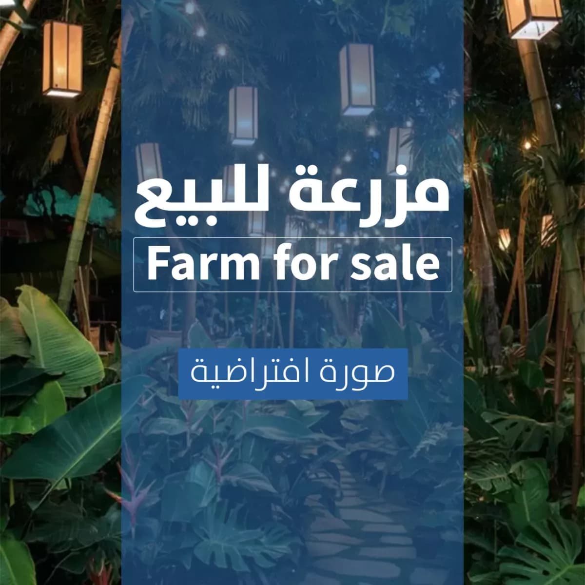مزرعة للبيع-0