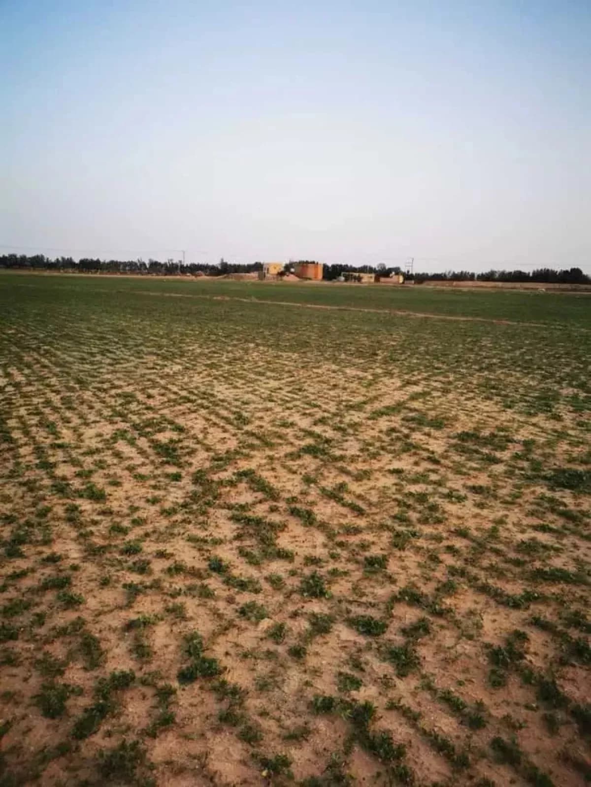 مزرعة للبيع-0