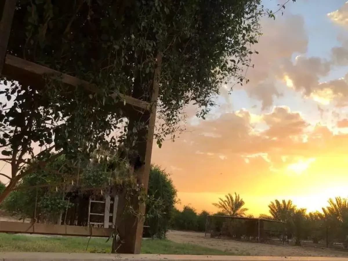 مزرعة للبيع-12